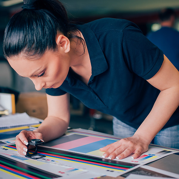 dimensions checklist on the color layout